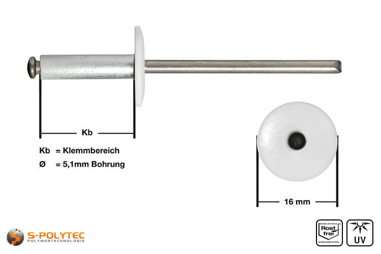 Gevel klinknagels wit (RAL 9010)