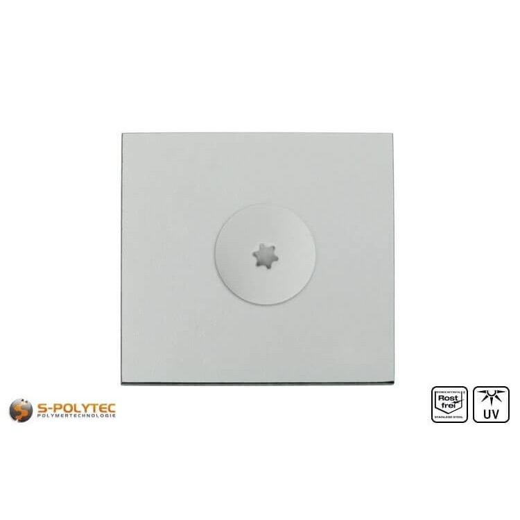 De balkoschroef in lichtgrijs met een kopdiameter van 16 mm heeft een Torx aandrijving in maat T20 (ISR20)