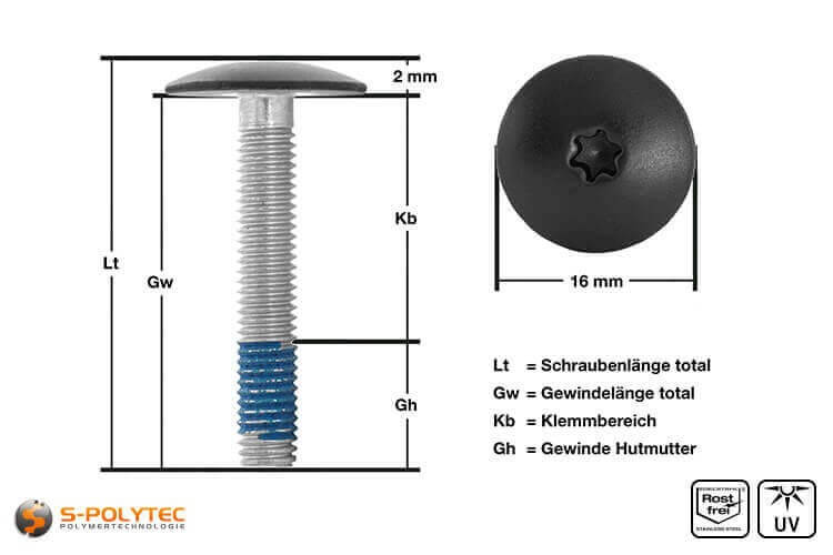 Balkonschroef met geverfde kop in zwart met 5mm schroefdraad