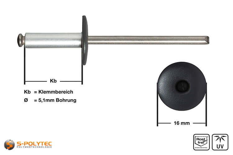 Gevel klinknagels antraciet (RAL 7016)