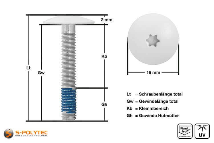 Balkonschroef met geverfde kop in zuiver wit met 5mm schroefdraad