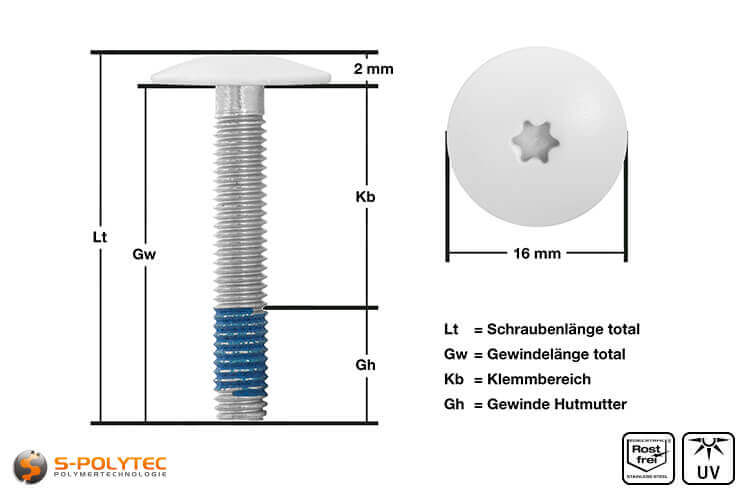 Balkonschroef met geverfde kop in zuiver wit met 5mm schroefdraad